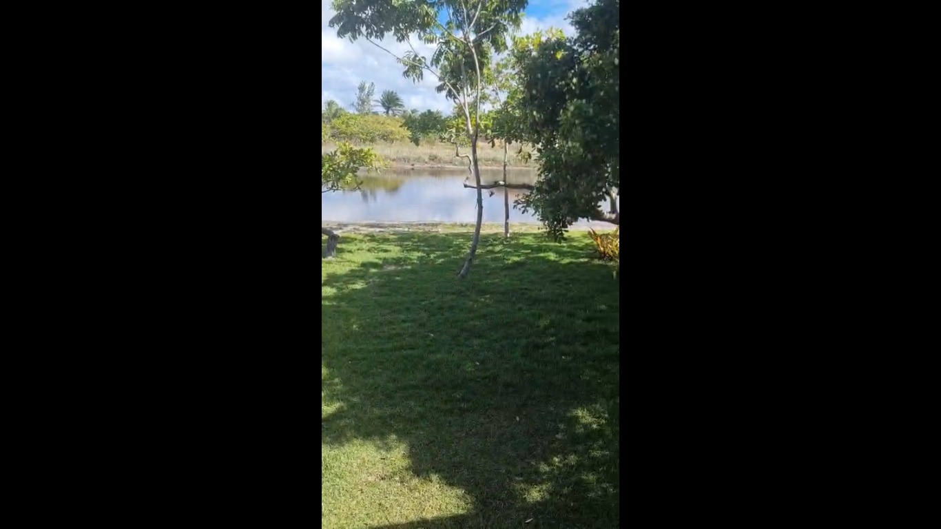 Vista do lago junto ao terreno da Casa do Atobá